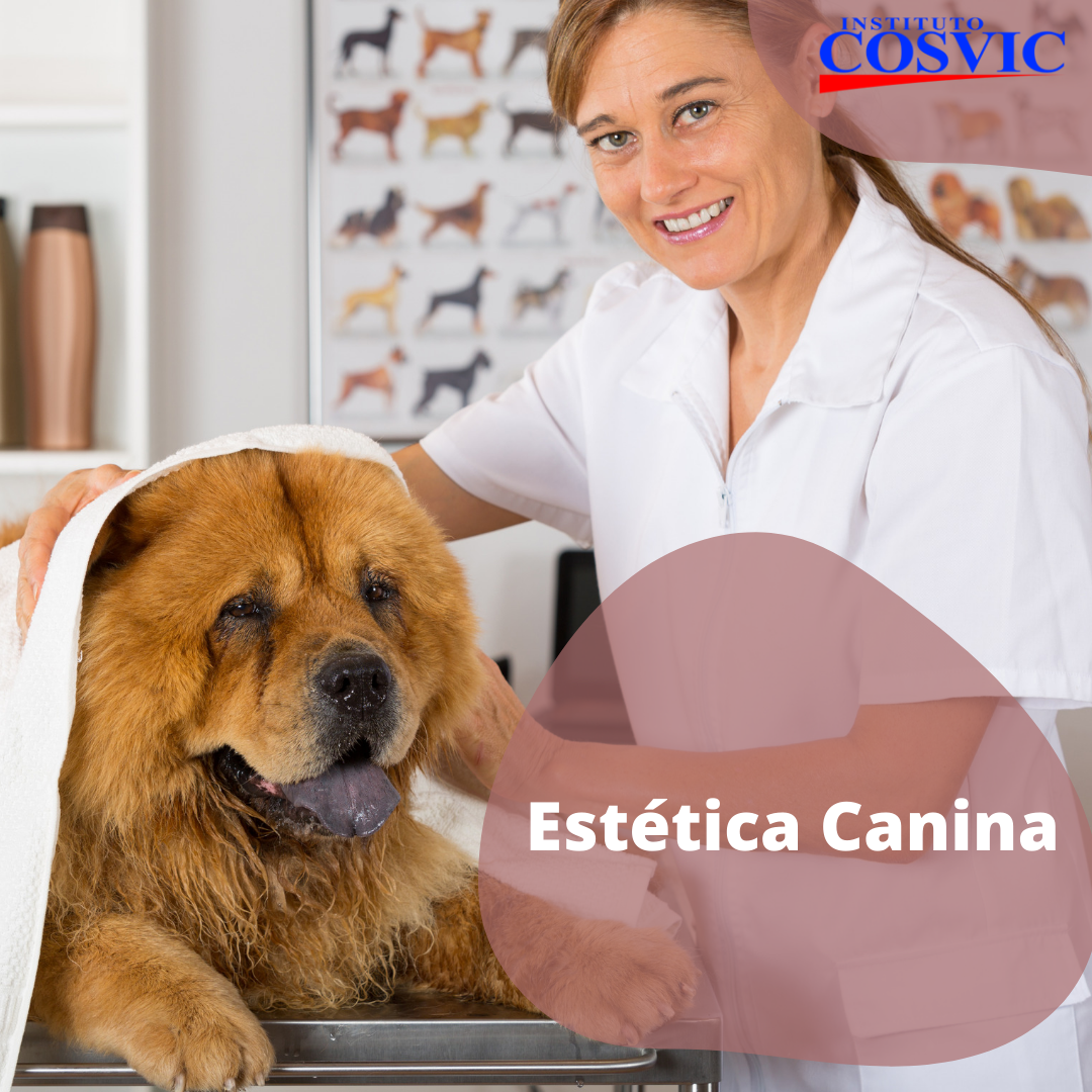 ESTÉTICA CANINA (viernes de 5 a 8pm)
