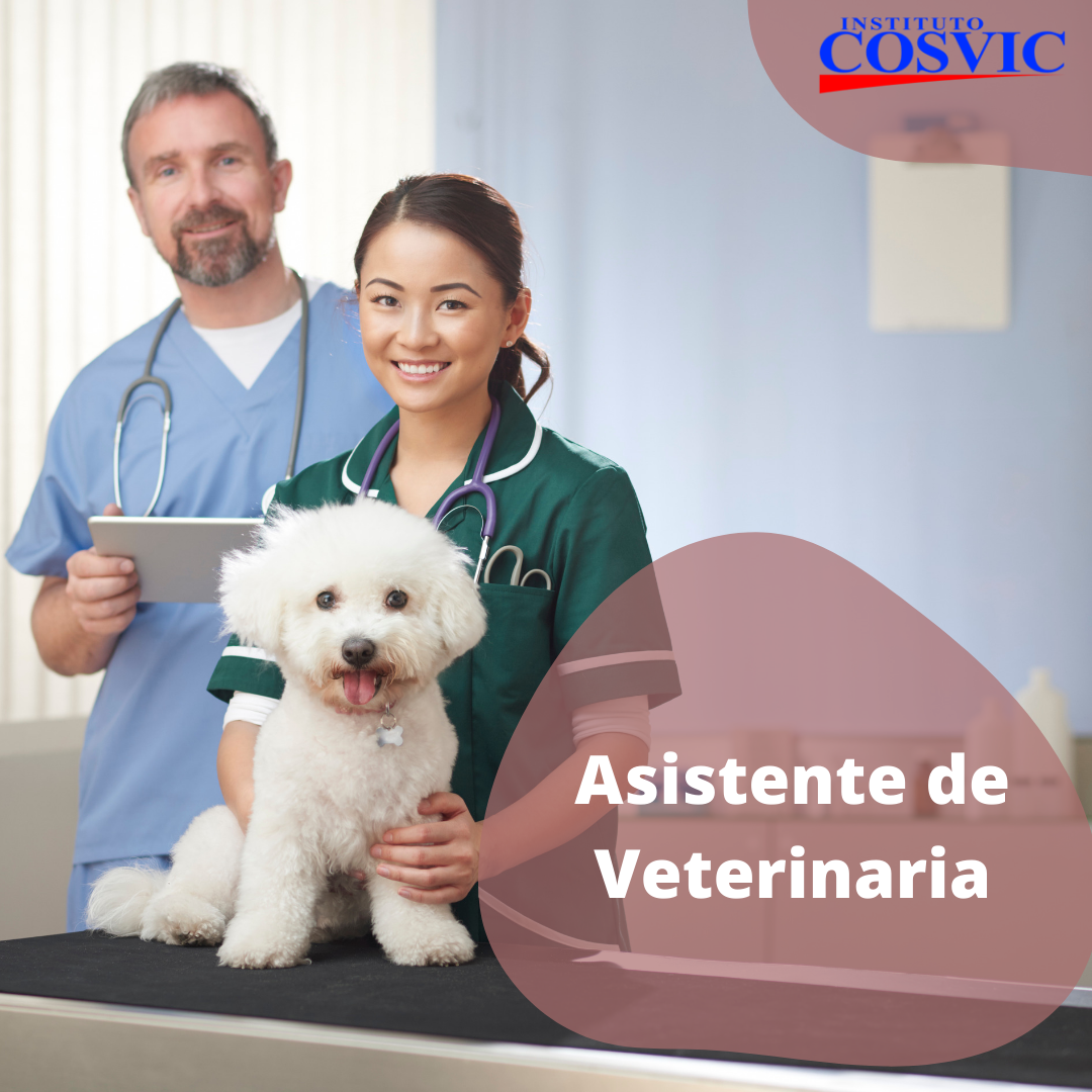 TÉCNICO EN ASISTENTE VETERINARIO (sábados de 3 a 6pm)