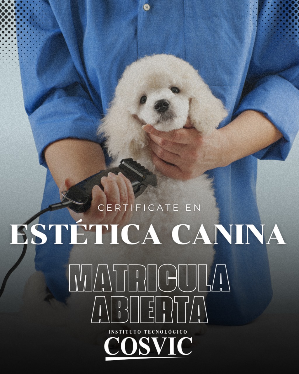 CURSO ESTETICA CANICA EC-149 MARTES DE 6-9PM