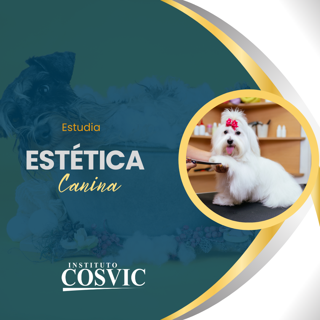 ESTETICA CANINA LUNES 3:00pm – 6:00pm EC-159