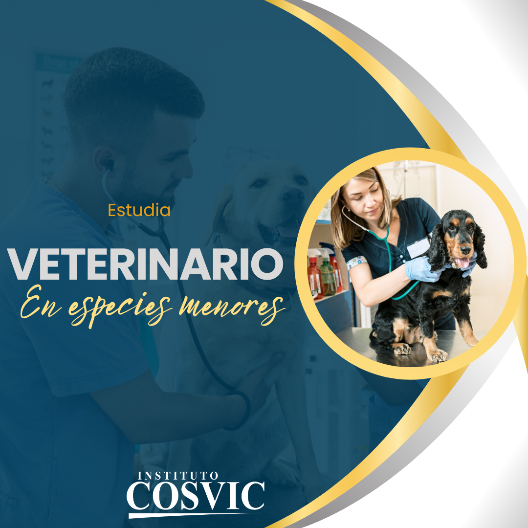 ASISTENTE VETERINARIA EN ESPECIES MENORES – JUEVES 3PM-6PM (AV-83)