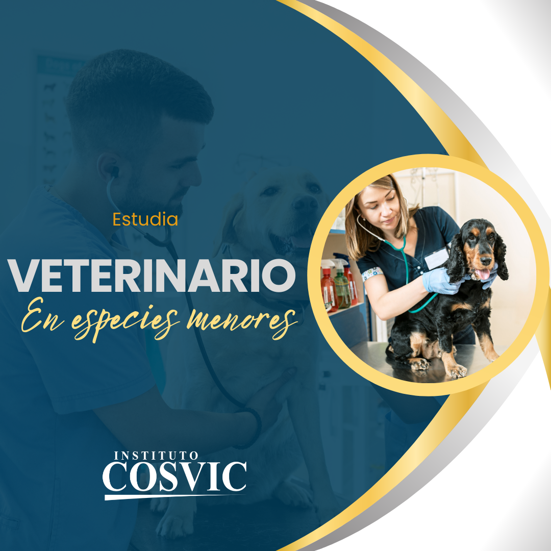TECNICO ASISTENTE VETERINARIO MIERCOLES 8:00am – 11:00am AV-81