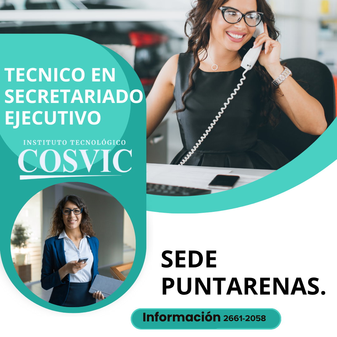 TÉCNICO EN SECRETARIADO EJECUTIVO SABADOS DE 12:00PM A 3:00PM (SECRE-11/01/25)
