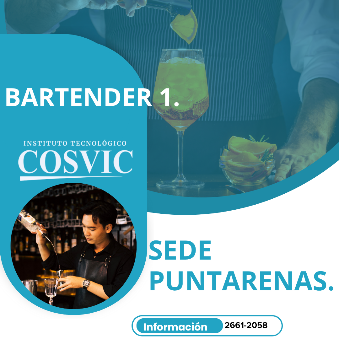 BARTENDER 1 DURACION 4 MESES BARTEND-17/03/2