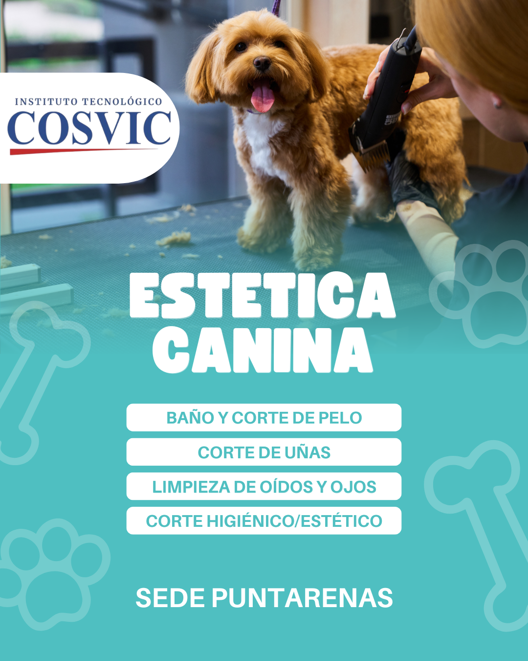 ESTETICA CANINA SABADOS DE 9:00AM A 12:00PM (ESTECAN23)