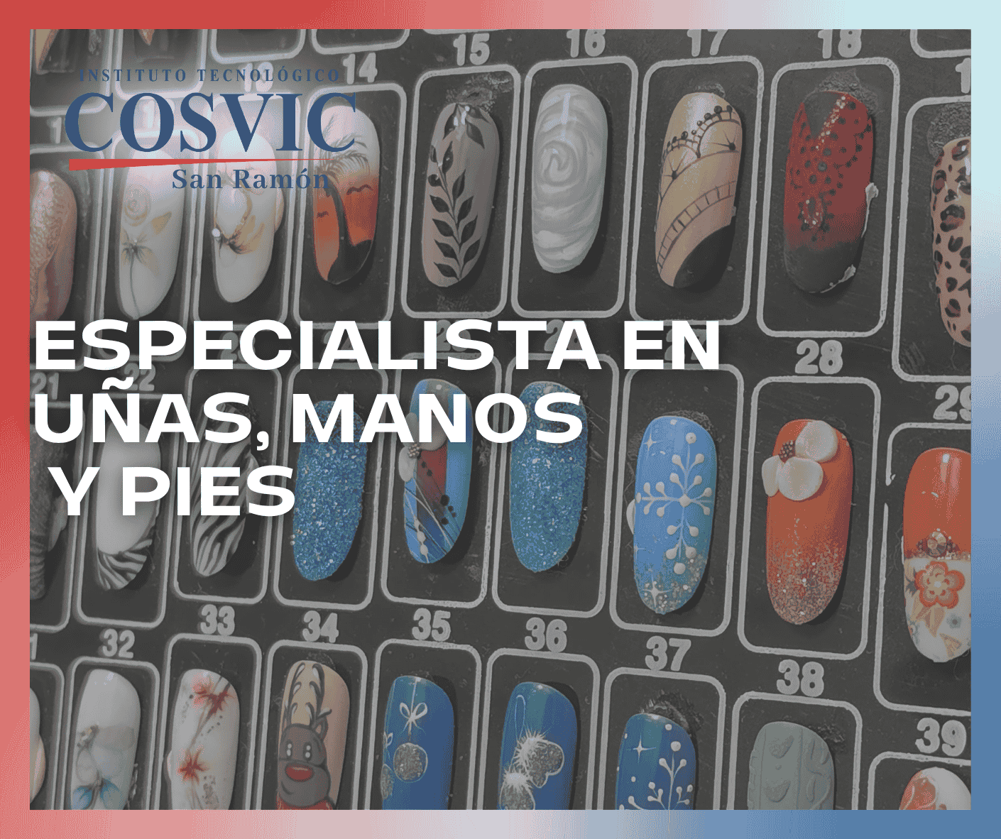 PROFESIONAL EN UÑAS MANOS Y PIES