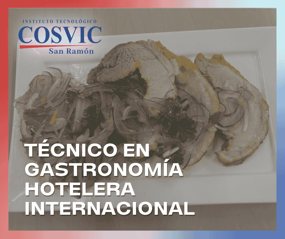 TECNICO EN GASTRONOMIA HOTELERA INTERNACIONAL