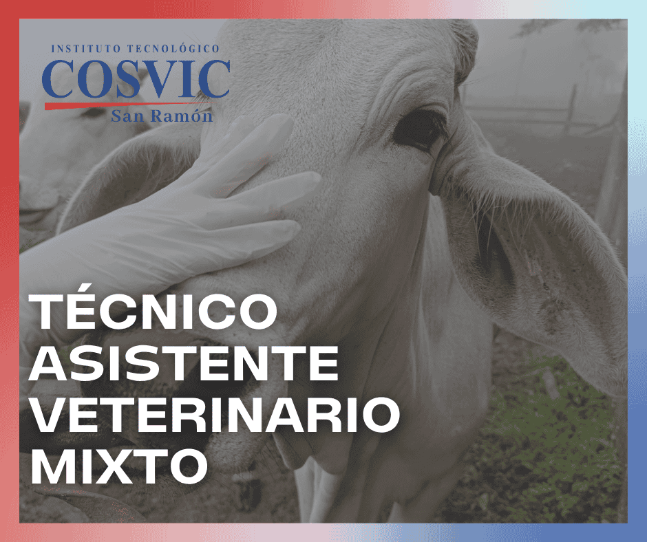TÉCNICO ASISTENTE VETERINARIO ENFOCADO EN ESPECIES MIXTAS SABADO 2PM – 5PM