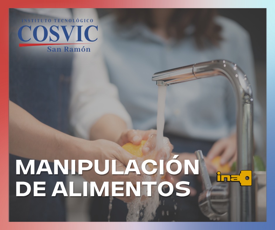 MANIPULACIÓN DE ALIMENTOS INA